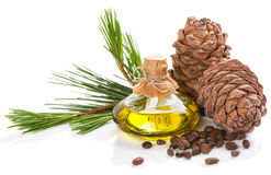 products-cedar-tree-pine-nuts-cones-oil-isolated-white-background-55602777